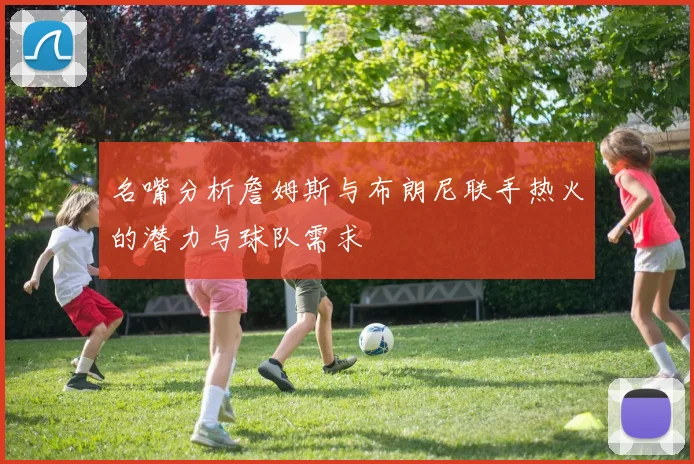 名嘴分析詹姆斯与布朗尼联手热火的潜力与球队需求