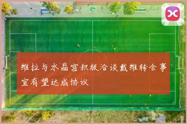 维拉与水晶宫积极洽谈戴维转会事宜有望达成协议