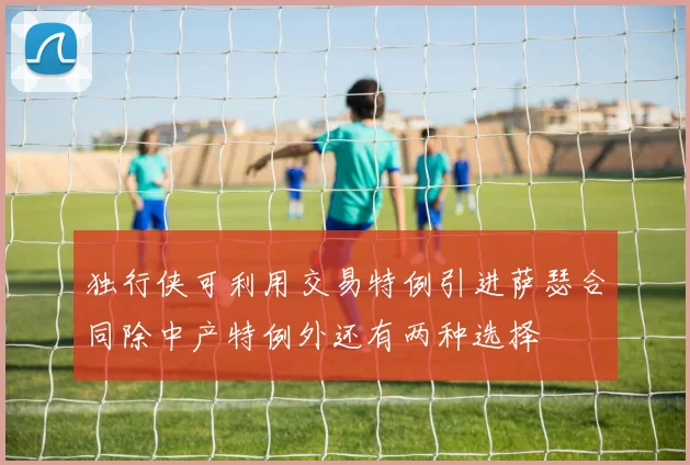 独行侠可利用交易特例引进萨瑟合同除中产特例外还有两种选择