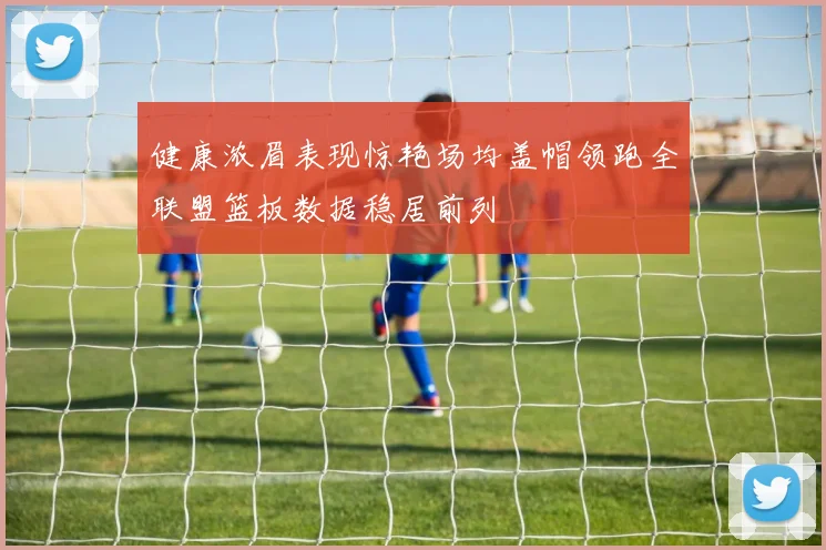 健康浓眉表现惊艳场均盖帽领跑全联盟篮板数据稳居前列